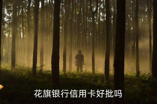 花旗银行信用卡好批吗
