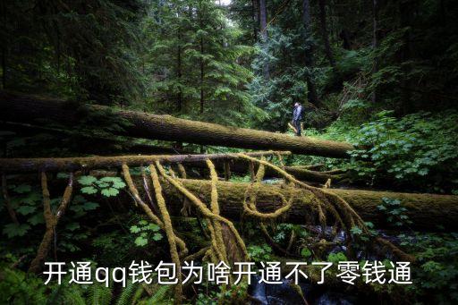 怎么开通零钱通，微信零钱怎样设置自动转入零钱通