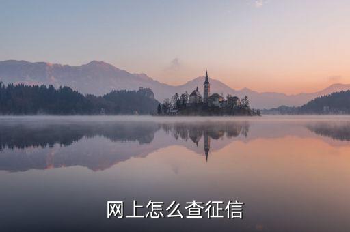 网上怎么查征信