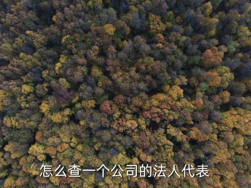 怎么查一个公司的法人代表