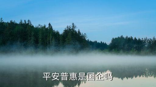 平安普惠公司，平安普惠是家什么公司网上申请平安普惠贷款可靠吗