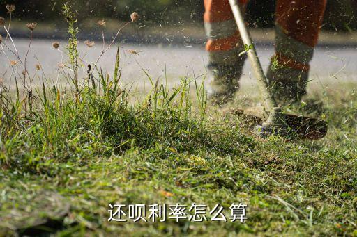 还呗利息多少，还呗利率怎么算