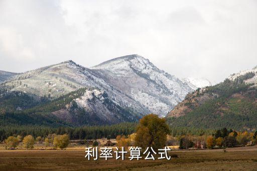利率计算公式