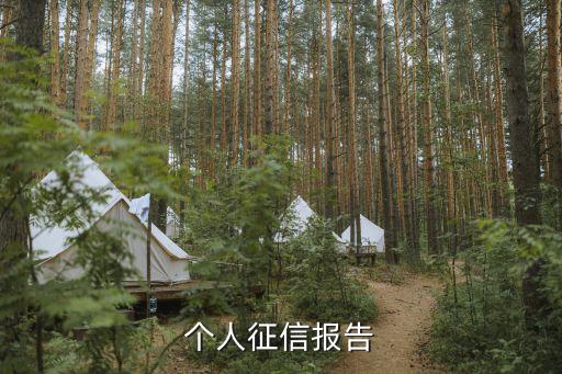 个人征信报告