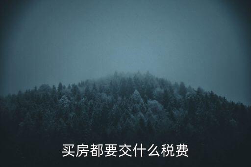 买房都要交什么税费