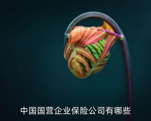 中国国营企业保险公司有哪些