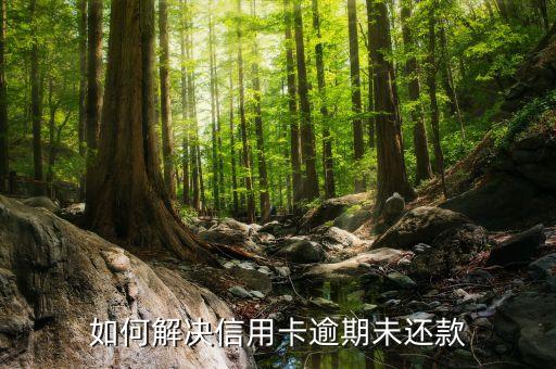 如何解决信用卡逾期未还款
