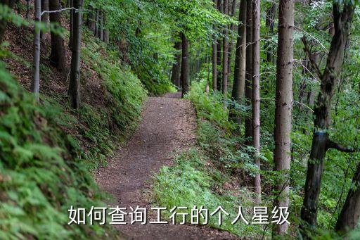 如何查询工行的个人星级