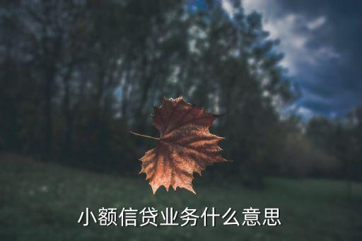 小额信贷，小额信贷是什么是高利贷吗安全吗