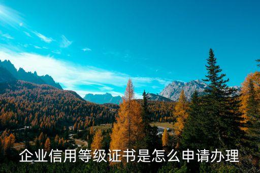 企业信用等级由谁发证书，企业4a证书由哪个单位发