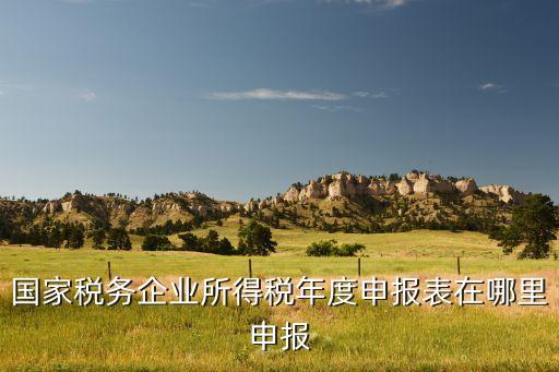 国家税务企业所得税年度申报表在哪里申报
