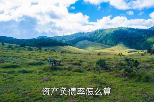 资产负债率怎么算