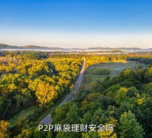 麻袋理财，麻袋理财中麻豆是什么意思