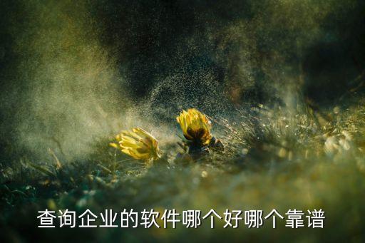 查询企业的软件哪个好哪个靠谱