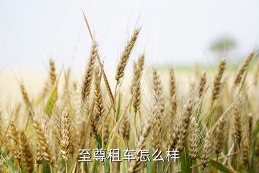 至尊租车怎么样
