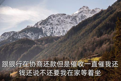 跟银行在协商还款但是催收一直催我还钱还说不还要我在家等着坐