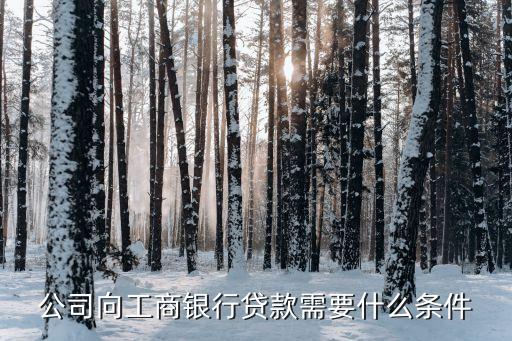 公司向工商银行贷款需要什么条件