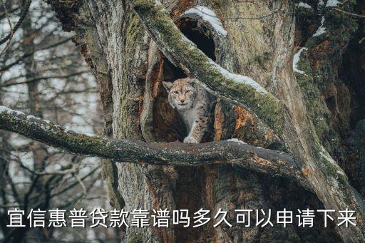 宜信惠普，宜信惠普是骗人的吗