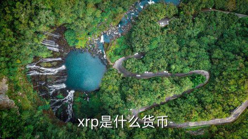 xrp是什么货币