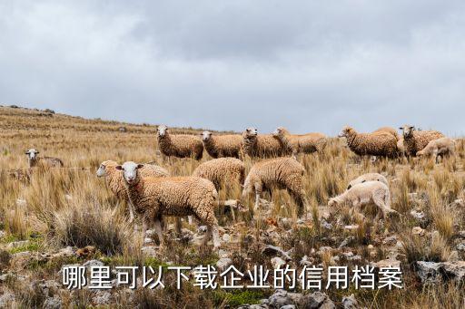 哪里可以下载企业的信用档案