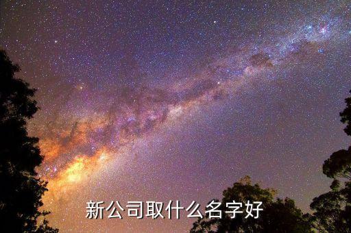 新公司取什么名字好