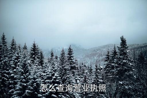 怎么查询营业执照