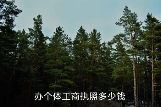 个体工商户注册多少钱，注册个体户需要多少钱