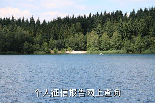个人征信报告网上查询