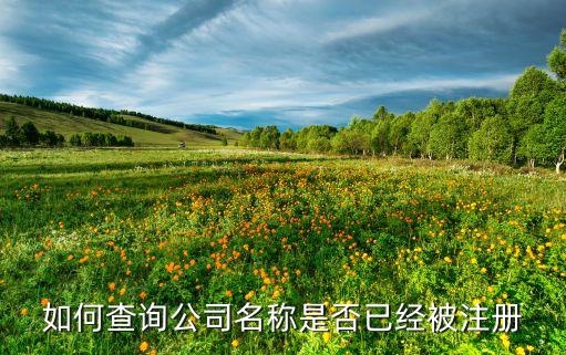 如何查公司名称有没有被注册，怎么查询公司名是否被注册