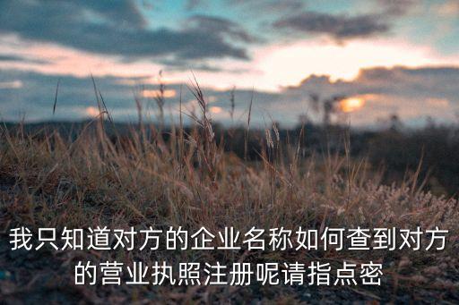 他人营业执照查询网上查询，我只知道对方的企业名称如何查到对方的营业执照注册呢请指点密