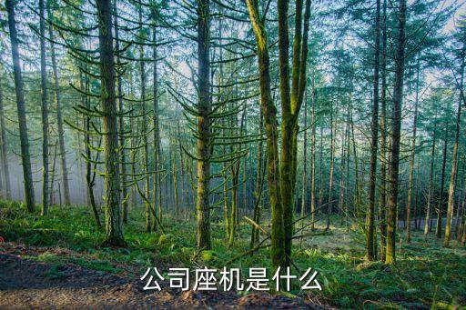 公司座机是什么