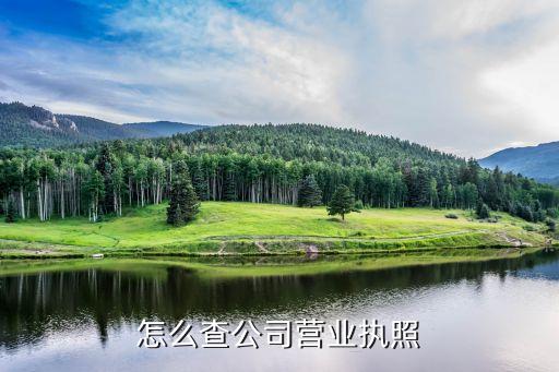 怎么查公司营业执照