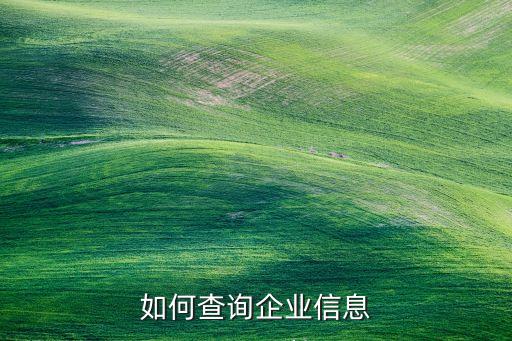查企业信息怎么查，如何查询企业信息
