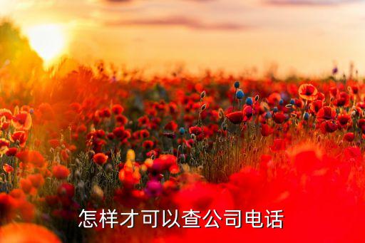 怎样才可以查公司电话