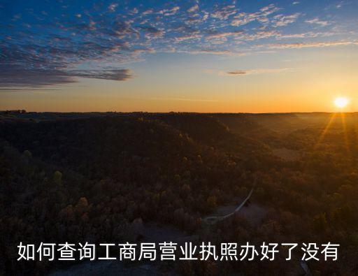 怎么查个人营业执照有没有办下来，怎么查一下那个营业执照办好了没有