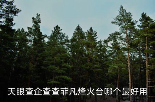 天眼查企查查菲凡烽火台哪个最好用