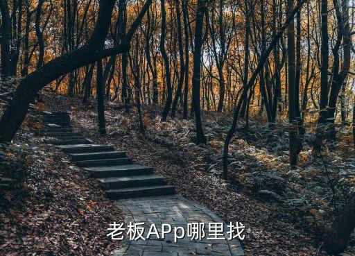 老板APp哪里找