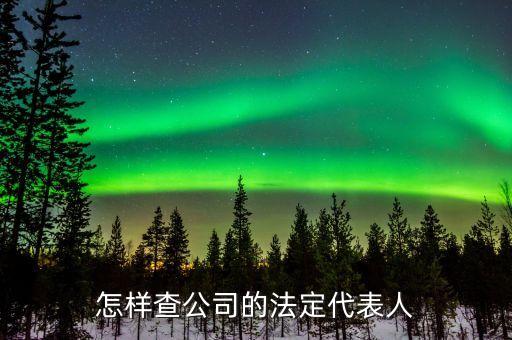 法人资料查询官网，企业法人代表查询