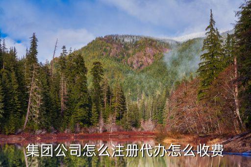 集团公司怎么注册代办怎么收费