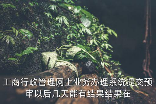 工商行政管理网上业务办理系统提交预审以后几天能有结果结果在