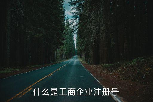 什么是工商企业注册号