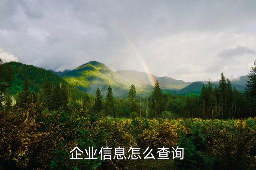 企业信息怎么查询