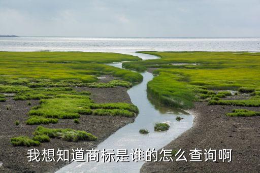 我想知道商标是谁的怎么查询啊