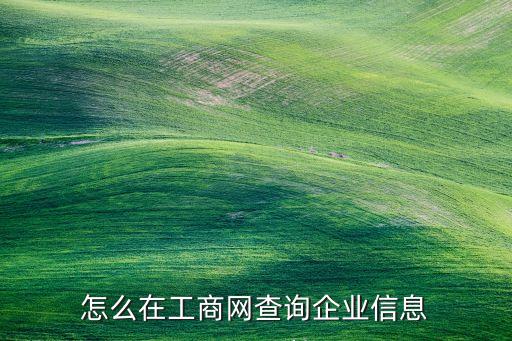 怎么在工商网查询企业信息