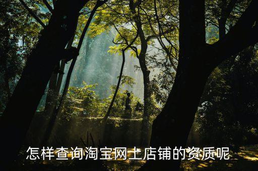 怎样查询淘宝网上店铺的资质呢