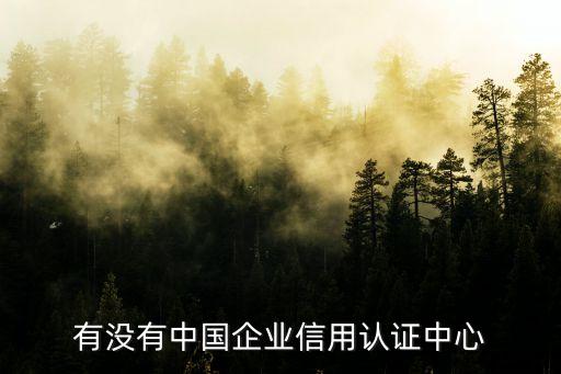 中企信认证人，认证中企业行政人员包括哪些