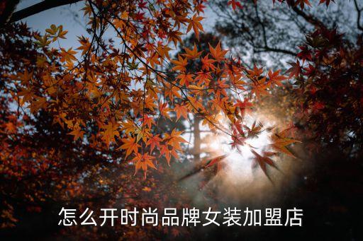怎么开时尚品牌女装加盟店