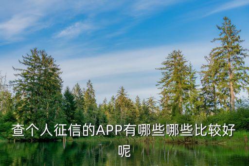 查个人征信的APP有哪些哪些比较好呢