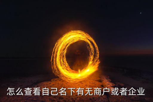 怎么查看自己名下有无商户或者企业