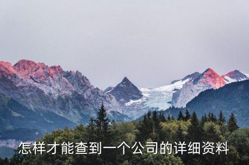 怎样才能查到一个公司的详细资料